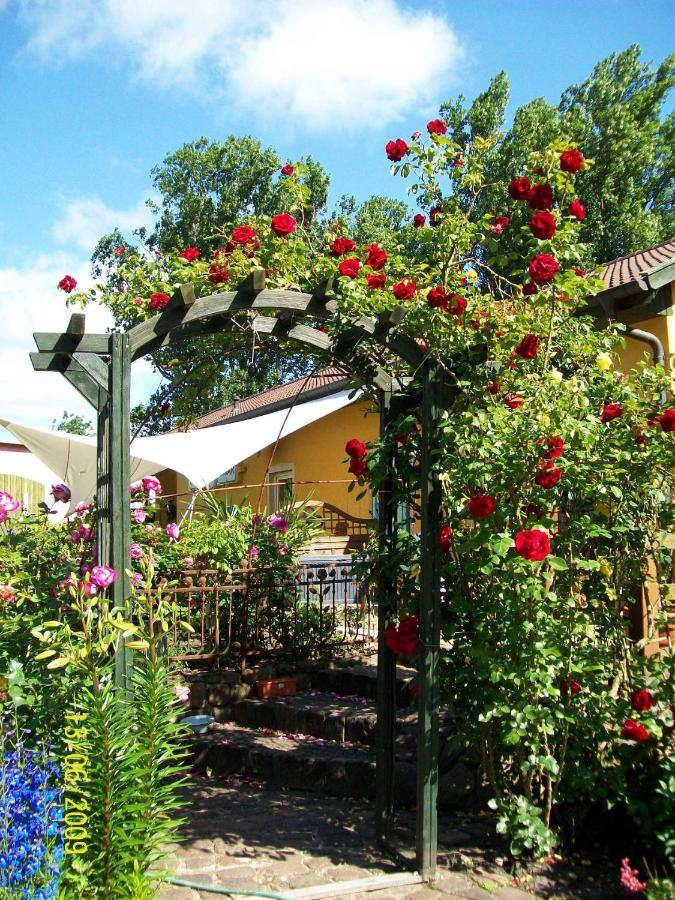 Barrel -Schlafen Im Fass Hotel Gorleben Exterior foto